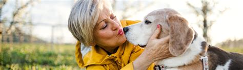 no cost pet euthanasia nj